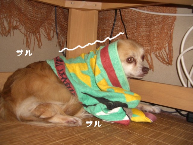 2008 8/30-2