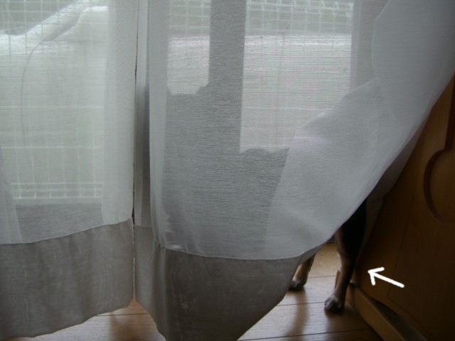 2008 9/5