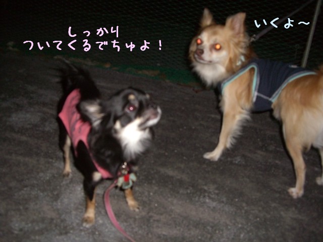 2008　10/12