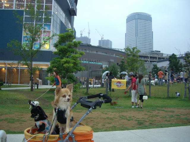 2008　8/24-2