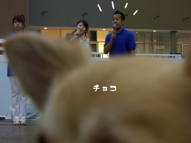2008　8/24-6