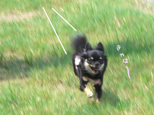 2008 9/7-3