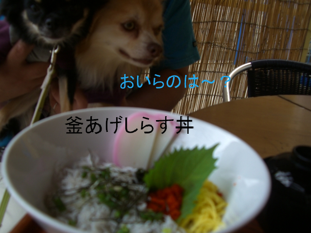 2008 10/6-1