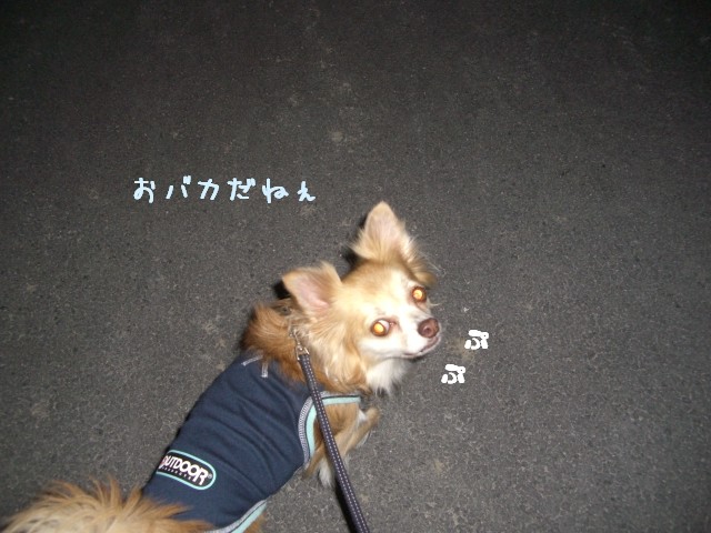 2008　10/12-3