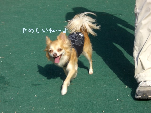 2008　10/13