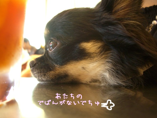 2008　10/1-5