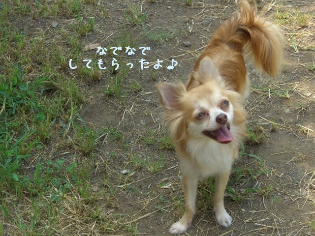 2008 9/7-2