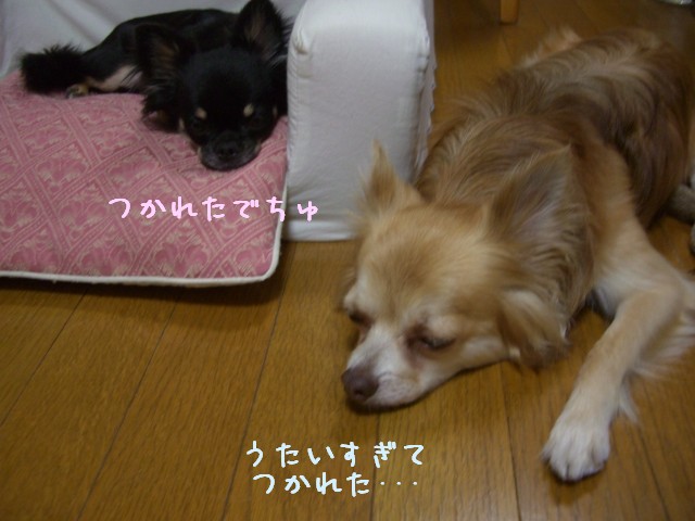 2008　10/3