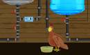Chicken Grow
