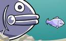 Fish Snap!!