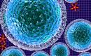 BioLabs Outbreak