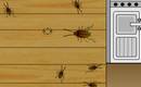 La Cucaracha