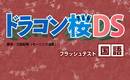 フラッシュテスト国語