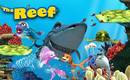 Shark Bait