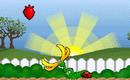 VENUS FRUIT TRAP