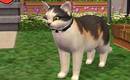 Sims 2 Pets Mini Game