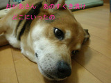36ff9651.JPG