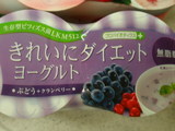 ダイエット食品 きれいにダイエットヨーグルト2
