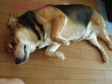 70f99655.jpg