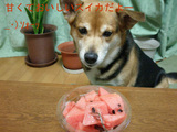 95f51807.JPG