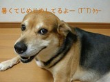 9d1f2d6c.JPG
