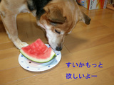 c3c075be.JPG