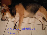e8db3207.JPG