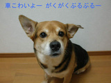 fad8e781.JPG
