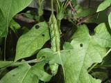P8310449