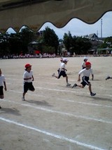 0784ee10.jpg
