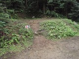 P8240409