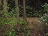 P8240417