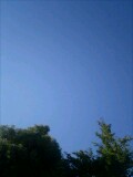 5e3d805f.jpg
