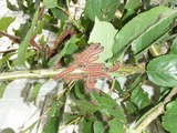 P8310452