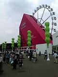 050529_1158~001.jpg