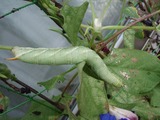 P8310447