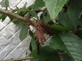 P8310453