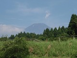 P8030346