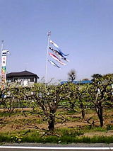 050414_0939~001.jpg