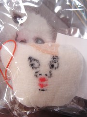panchi 118