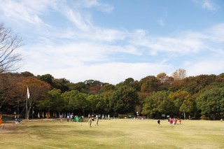 kyanpou 382