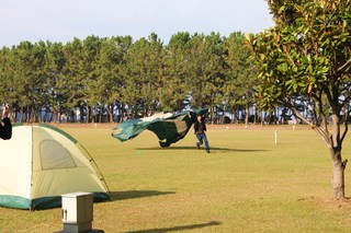kyanpou 320