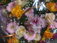 DSC03309