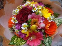 DSC03321