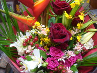 DSC03323