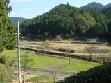 DSC02965