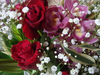 DSC03318