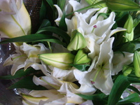 DSC03319