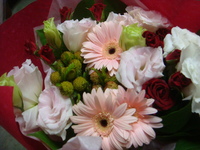 DSC03315
