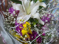 DSC03311
